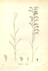 n181_w1150