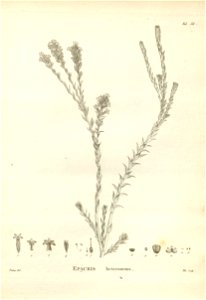 n166_w1150