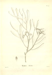 n151_w1150