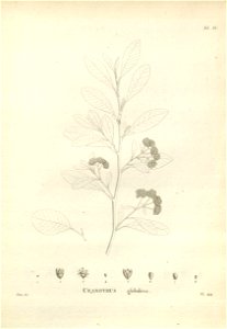 n195_w1150