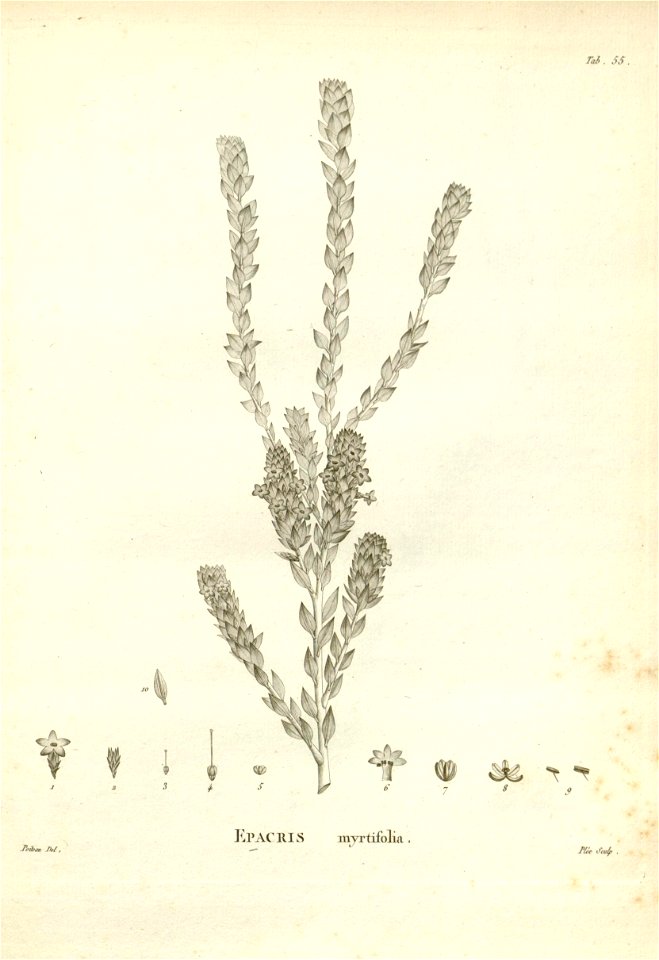 n165_w1150