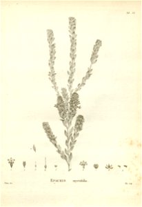 n165_w1150