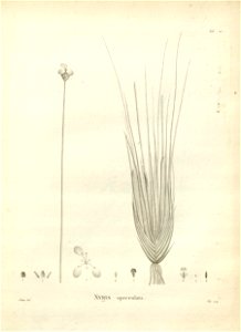 n120_w1150