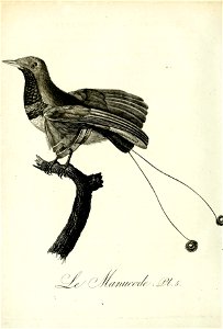 n379_w1150