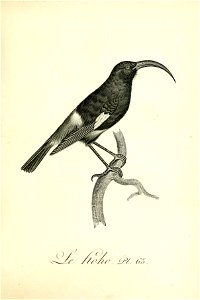n258_w1150