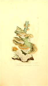 n566_w1150