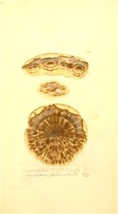 n536_w1150