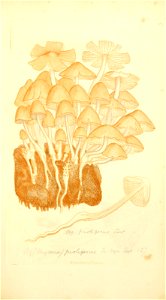 n446_w1150