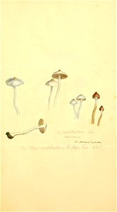 n356_w1150