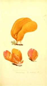 n216_w1150