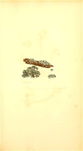 n186_w1150