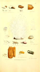 n978_w1150