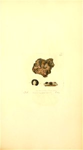 n768_w1150