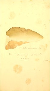 n798_w1150