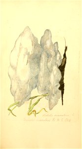 n564_w1150