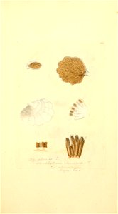 n474_w1150