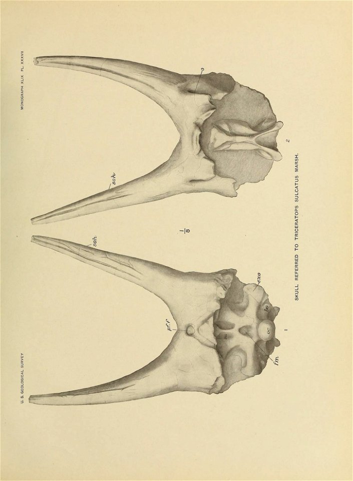 n422_w1150