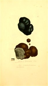 n428_w1150