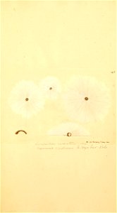 n398_w1150