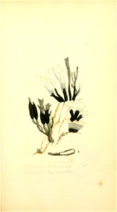 n168_w1150