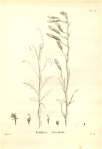 n184_w1150