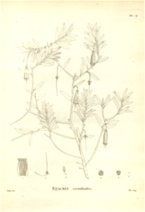 n169_w1150