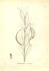 n154_w1150