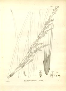 n121_w1150