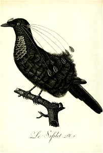 n383_w1150