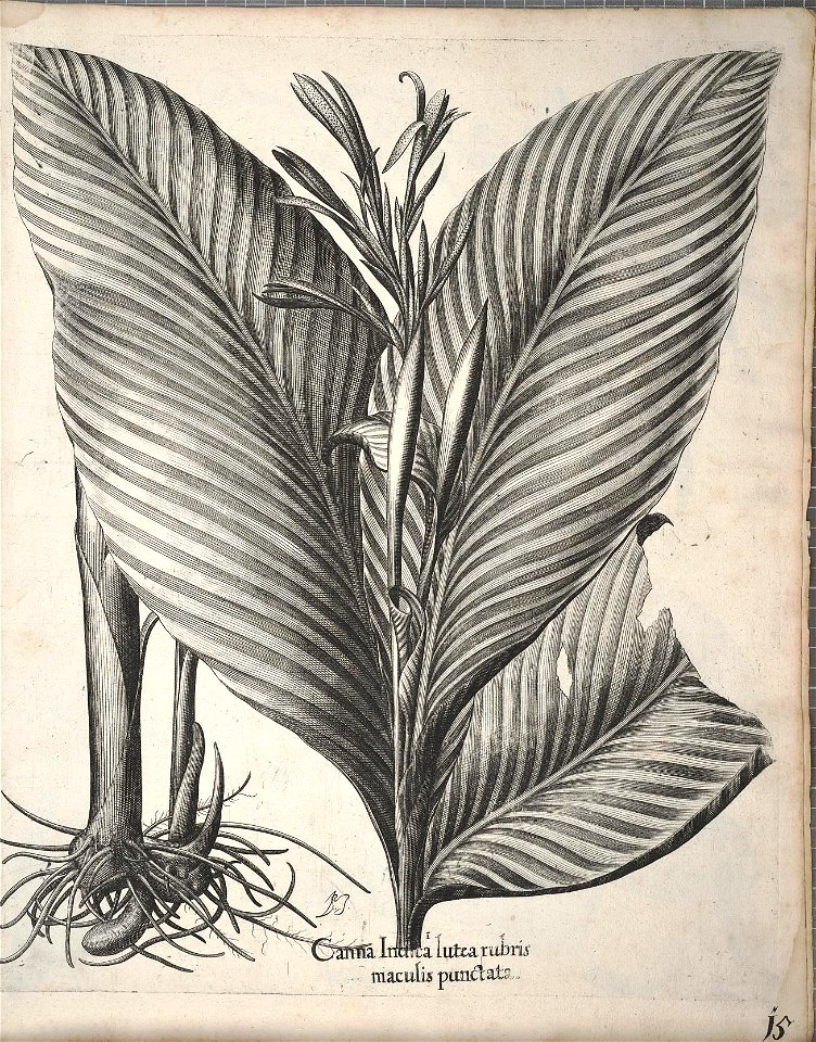 n354_w1150