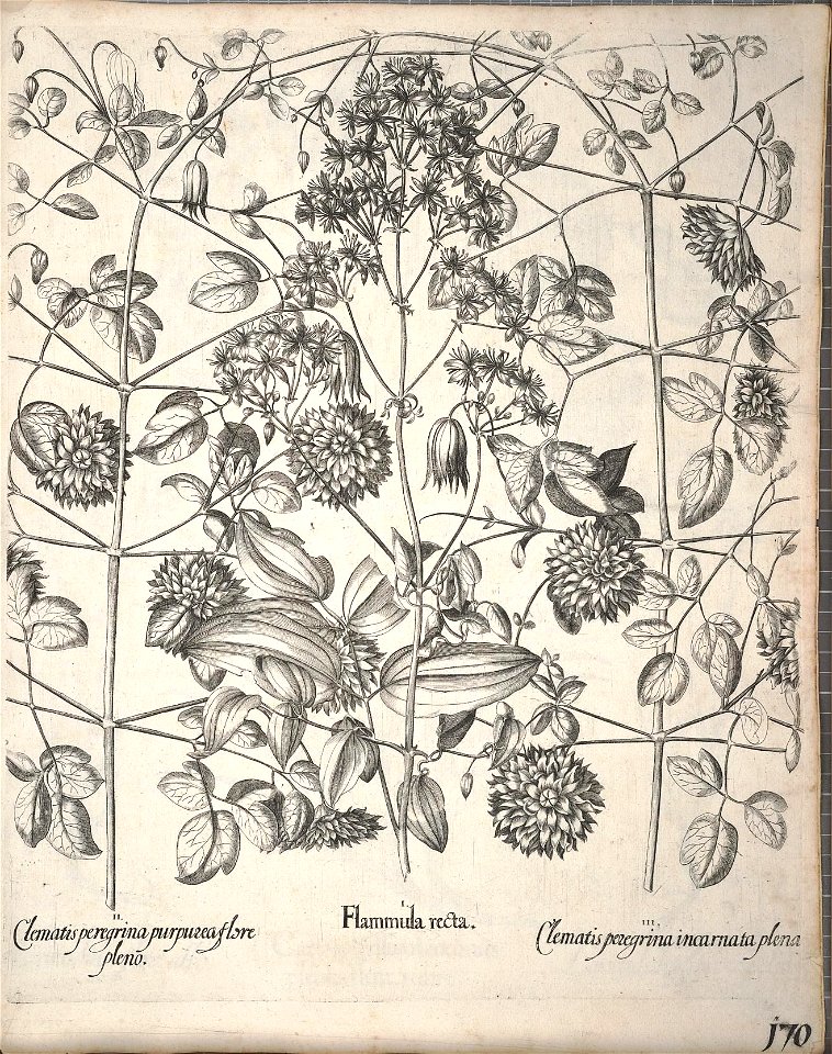 n321_w1150