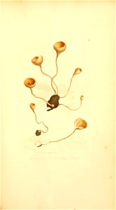 n184_w1150