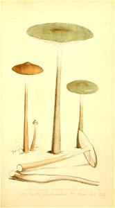n154_w1150