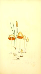 n124_w1150