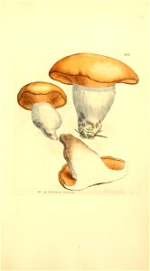 n1026_w1150