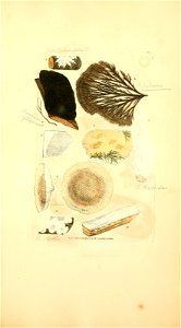n996_w1150