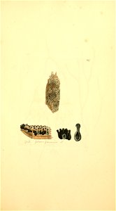 n816_w1150