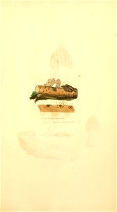 n582_w1150