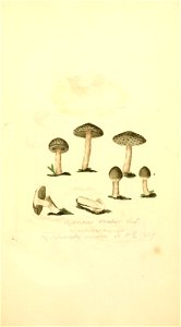 n522_w1150
