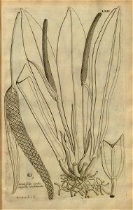 n171_w1150