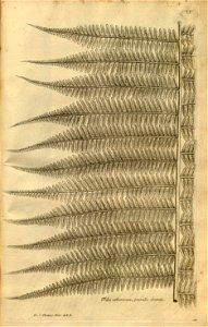 n111_w1150