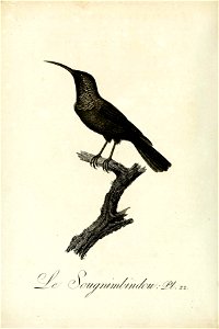 n105_w1150