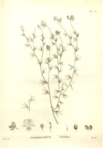 n243_w1150