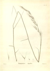 n228_w1150