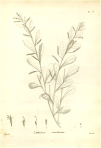 n183_w1150