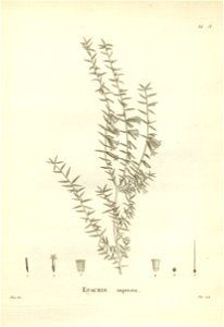 n168_w1150
