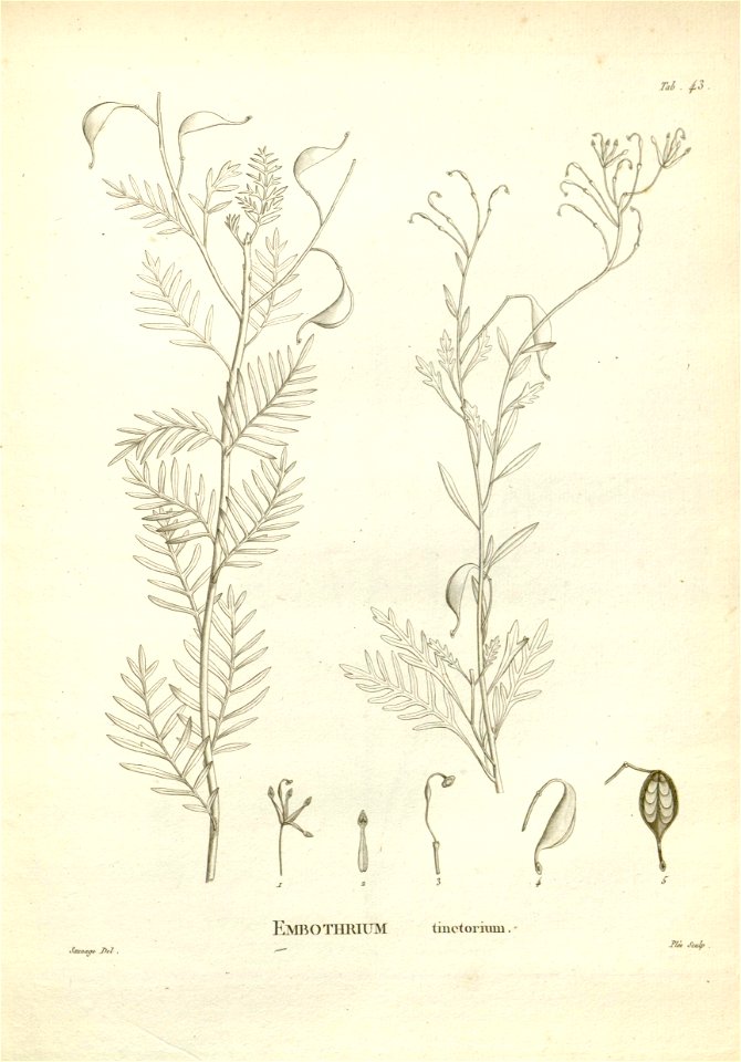n153_w1150