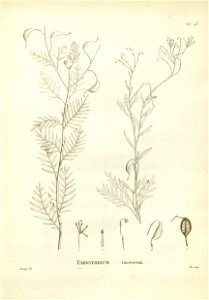 n153_w1150