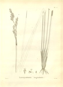 n123_w1150
