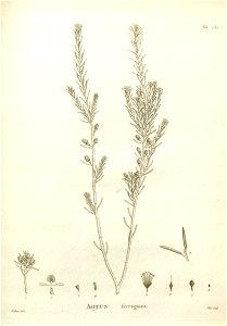n242_w1150